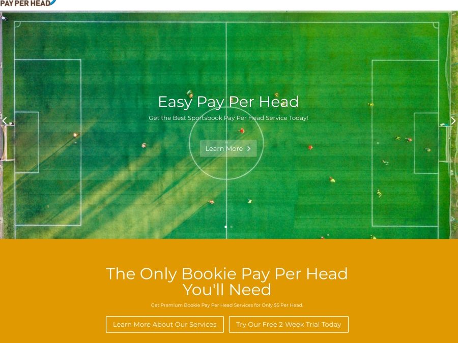 Easy Pay Per Head Review