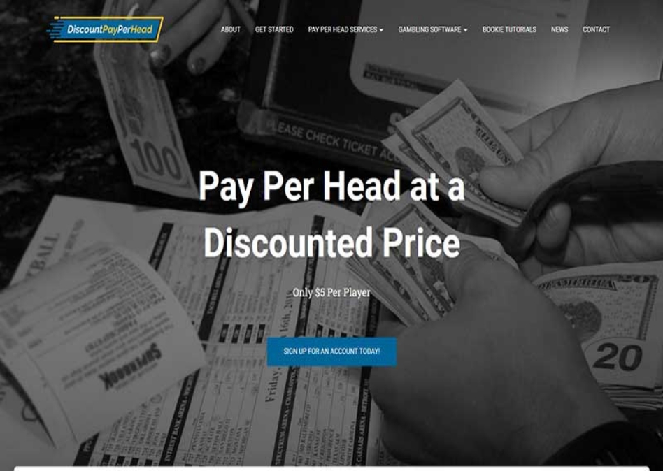 DiscountPayPerHead.com Review