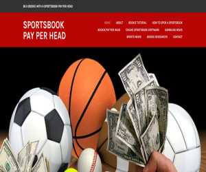 Sportsbook Pay Per Head Blog